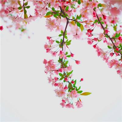 小淘手游最新版下载